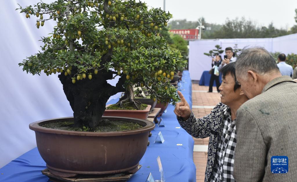 乐通老虎机官方网